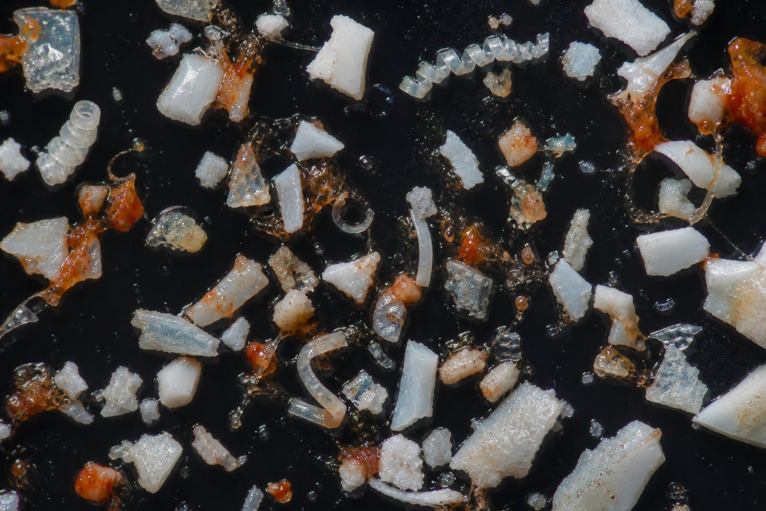 Plastic fragments under a microscope
